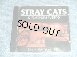 Photo1: STRAY CATS ストレイ・キャッツ  - PLATINUM PUSSY /  COLLECTORS (  BOOT ) Used CD