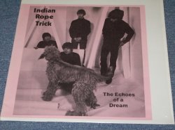 Photo1: THE BEATLES - INDIAN ROPE TRICK /  COLLECTORS ( BOOT ) LP