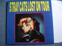 Photo1: STRAY CATS - LOST ON TOUR   / COLLECTORS ( BOOT ) LPN BRAND NEW DEAD STOCK 