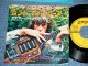 JOHN MAYALL and THE BLUESBREAKERS - DUST MY BLUES / 1969 JAPAN ORIGINAL Used 7"Single 