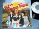 STRAY CATS  ストレイ・キャッツ - WHAT'S GOIN' DOWN / 1981 Japan ORIGINAL Used 7" Single With PICTURE SLEEVE 