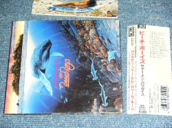 Photo1: THE BEACH BOYS - SUMMER IN PARADISE  / 1993  JAPAN  ORIGINAL Used CD With OBI 