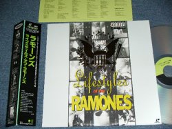 Photo1: RAMONES -   LIFESTYLES OF RAMONES /  1990 JAPAN ORIGINAL Used LASER DISC With OBI 