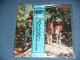 CREEDENCE CLEARWATER REVIVAL = CCR - GREEN RIVER ( MINT-/MINT ) / 1980's  JAPAN LAST  REISSUE on ANALOGUE With"TAX IN" PRICE on OBI Used  LP With OBI & Original Outer Vinyl Cover from Company