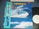 DEAN TORRENCE ( JAN & DEAN ) - MUSIC PHASE II  1977-1981 ( Ex+++/MINT ) / 1981  JAPAN ORIGINAL 'White Label PROMO' Used LP With OBI
