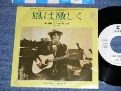 Photo1: NEIL YOUNG ニール・ヤング -  FOUR STRONG WINDS 風は激しく ( Ex-/MINT- )   / 1979 JAPAN ORIGINAL "WHITE LABEL PROMO" Used 7" Single 