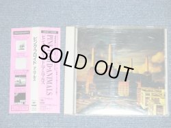 Photo1: PINK FLOYD -  ANIMALS   ( 2627 YEN VERSION ) (MINT-/MINT)  /  1989 JAPAN ORIGINAL "2nd Press & 2nd Price Mark Version"　Used   CD  With OBI 