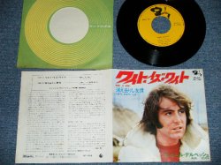 Photo1: ミッシェル・デルペッシュ MICHEL DELPECH - ワイト・イズ・ワイト WIGY IS WIGHT ( Ex++/MINT- )   / 1970 JAPAN ORIGINAL Used 7" Single 