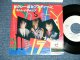 STRAY CATS  ストレイ・キャッツ - SEXY AND 17 (Ex/Ex++,MINT- :STOFC.BEND ) / 1983 Japan ORIGINAL White Label PROMO Used 7" Single With PICTURE SLEEVE 