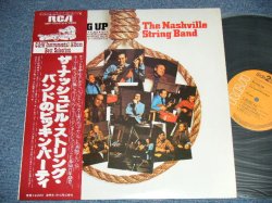 Photo1: The NASHVILLE STRING BAND - STRUNG UP ピッキン・パーティー (MINT-/MINT)  / 1978 JAPAN  Used  LP With OBI   