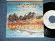 The MARSHALL TUCKER BAND - LONG HARD RIDE ( MINT-/MINT) / 1976 JAPAN ORIGINAL "WHITE LABEL PROMO" Used 7"45 Single