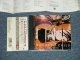 V.A.OMNIBUS -  ROMANIAN ANGEL APPEAL NOBODY'S CHILD ノーバディズ・チャイルド ルーマニアン・エンジェル・アピール(MINT-/MINT ) / 1990  JAPAN ORIGINAL Used CD with OBI