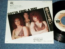 Photo1: WILD HONEY - A )   GOTTA FIND A WAY  B ) EVERYBODY KNOWS  (MINT-/MINT- ) / 1974 Japan ORIGINAL Used 7"45 Single 