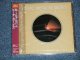 THE BEACH BOYS -  M.I.U. ALBUM  (Straight Reissue for Original Album )  (SEALED)  / 2000 JAPAN    "BRAND NEW SEALED" CD with OB 