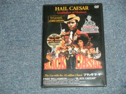Photo1: Movie 洋画 - BLACK CAESAR ブラック・シーザー  (SEALED) / 2004 JAPAN ORIGINAL "Brand New SEALED"  DVD 