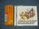 THE VENTURES ベンチャーズ - 60'S ROCKIN' CHRISTMAS 60’s ロッキン・クリスマス  (MINT/MINT) / 2001 JAPAN ORIGINAL Used CD with OBI 