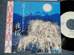 Photo1: HIROSHIMA ヒロシマ - A)YOZAKURA ホワイト・ドリーム夜桜  B) HAZAKURA ホワイト・ドリーム葉桜 (MINT-/MINT-)  / 1982 JAPAN ORIGINAL Used 7"45 Single