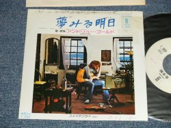 Photo1: ANDREW GOLD アンドリュー・ゴールド -  A) STAY 夢みる明日  B) FIREFLYファイアフライ  ( Ex+/Ex+ SWOFC  )   / 1980 JAPAN ORIGINAL "WHITE LABEL PROMO" Used 7" Single 
