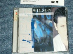 Photo1: BRIAN WILSON - BRIAN WILSON DELUXE EDITION (MINT/MINT) / 2000 JAPAN ORIGINAL Used CD