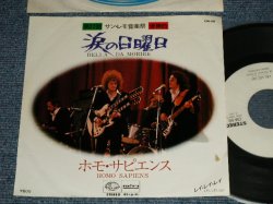 Photo1: HOMO SAPIENS ホモ・サピエンス - A) BELLA DA MORIRE 涙の日曜日  B) LEI LEI LEI レイ・レイ・レイ (Ex++/MINT-)  / 1977 JAPAN ORIGINAL "WHITE LABEL PROMO" Used 7" Single 