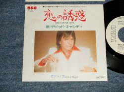 Photo1: DAVID CASSIDY デビッド・キャシディ -  A) GET IT UP FOR LOVE 恋の誘惑  B) LOVE IN BLOOM 花ひらく恋 (Prod. By BRUCE JOHNSTON) (MINT-/MINT-) / 1975 JAPAN ORIGINAL "white label promo" Used 7" Single  with PICTURE COVER JACKET 