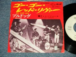 Photo1: The CHALLENGERS ザ・チャレンジャーズ - A) RED RIVER ROCK ゴー・ゴー・レッド・リヴァー  B) BULLDOG ブルドッグ (Ex/Ex++ TOL) / 1966 JAPAN ORIGINAL "WHITE LABEL PROMO"  Used 7"Single 