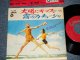 The CLEE-SHAYS   クリー・シェイズ  -  A) SOLE, SOLE, SOLE 太陽にキッス  B) KATIUSHA 霧のカチューシャ(Ex/Ex+++)  / 1966 JAPAN ORIGINAL Used 7"45 rpm Single 