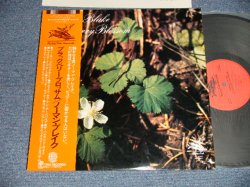Photo1: NORMAN BLAKE ノーマン・ブレイク (COUNTRY/BLUEGRASS GUITARIST)  - BLACKBERRY BLOSSOM ブラックベリー・ブロッサム (Ex+++/MINT-) / 1977 JAPAN ORIGINAL Used LP with OBI 