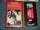 BOB MARLEY ボブ・マーリィ - ONE LOVE PEACE CONCERT (MINT/MINT)  / 1993 JAPAN ORIGINAL Used VIDEO 