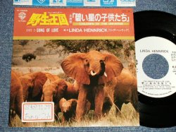 Photo1: Linda Hennrick リンダ・ヘンドリック　 野生の王国　A)Children Of The Universe の子供達たたちち  B)Song Of Love (Ex++/MINT- STOFC) / 1984 JAPAN ORIGINAL "WHITE LABEL PROMO" Used 7" Single 