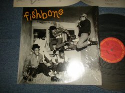 Photo1: FISHBONE フィッシュボーン - FISHBONE  (MINT/MINT-) / 1985 JAPAN ORIGINAL Used LP 