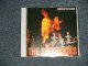 THE SPOTNICKS ザ・スプートニクス - SUSPICION マロニエの散歩道 (MINT/MINT) / 1992 JAPAN USED CD