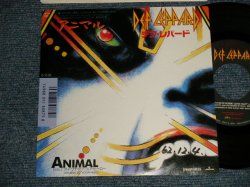 Photo1: DEF LEPPARD デフ・レパード - A)ANIMAL  アニマル  B)I WANNA BE YOUR HERO  (Ex++/Ex++ WOFC) / 1988 JAPAN ORIGINAL "PROMO" Used 7" Single 