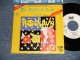 ROCKPILE ロックパイル - A)NOW AND ALWAYS 想い出のシルエット  B)TEACHER TEACHER ティーチャー・ティーチャー (Ex++/Ex+++ WOFC) / 1980 JAPAN ORIGINAL "WHITE LABEL PROMO" Used 7"45 Single