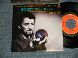 Photo1: ROGER HODSON  ロジャー・ホジソン - HAD A DREAM 夢の世界で (MINT-/MINT-) / 1984 JAPAN ORIGINAL Used 7" SINGLE 