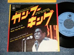 Photo1: JIMMY JAMES AND THE VAGABONDS ジミー・ジェイムス＆ザ・ヴァガボンズ - A)WHATEVER HAPPENED TO THE LOVE ME KNEW カン・フー・キック  B)WANT YOU SO MUCH セクシー・ルーファス(Ex++/MINT- SWOFC) /1976 JAPAN ORIGINAL "PROMO" Used 7" 45rpm Single 
