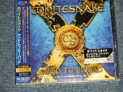 Photo1: WHITESNAKE ホワイトスネイク - GOOD TO BE BAD グッド・トゥ・ビー・バッド  (SEALED)  / 2008 JAPAN ORIGINAL "BRAND NEW SEALED" CD with OBI