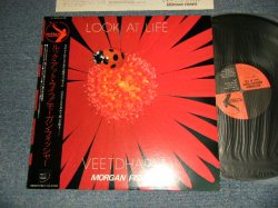 Photo1: VEETDHARM MORGAN FISHER モーガン・フィッシャー - LOOK AT LIFE ルック・アウト・ライス (Ex+++/MINT-) / 1985 JAPAN ORIGINAL Used LP with OBI 