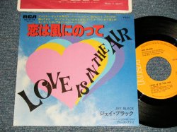 Photo1: JAY BLACK (JAY & AMERICANS) ジェイ・ブラック - A)LOVE IS IN THE AIR 恋は風にのって  B)(DON'T GO) PLEASE STAY プリーズ。デイ(MINT-/MINT-) / 1978 JAPAN ORIGINAL Used 7"45 Single