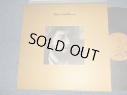 Photo1: PETER GALLWAY ピーター・ゴールウエイ - PETER GALLWAY ピーター・ゴールウエイ (MINT-/MINT) / 1978 JAPAN ORIGINAL Used LP 