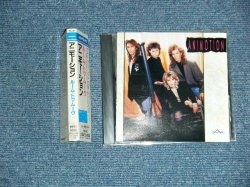 Photo1: アニモーション ANIMOTION - アニモーション ANIMOTION  (Ex+++/Ex) / 1989 JAPAN ORIGINAL Used CD With OBI   