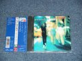 GINO VANNELLI ジノ・バネリ - NIGHT WALKER ナイトウォーカー  (MINT-/MINT) / 1995  Japan ORIGINAL Used CD with OBI