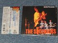 THE SPOTNICKS ザ・スプートニクス - SUSPICION マロニエの散歩道 (MINT/MINT) / 1992 JAPAN USED CD With OBI