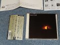 GENE CLARK ジーン・クラーク - WHITE LIGHT ホワイト・ライト (MINT-/MINT) / 1987 JAPAN ORIGINAL "3,200 Yen Mark" Used CD with OBI