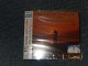 SHELBY FLINT  シェルビー・フリント - CAST YOUR FATE TO THE WIND 風の吹くまま (SEALED) / 2008 JAPAN ORIGINAL "BRAND NEW SEALED" CD With OBI