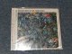 THE STONE ROSES ザ・ストーン・ローゼズ - THE VERY BEST OF STONE ROSES ザ・ヴェリー・ベスト・オブ・ザ・ストーン・ローゼズ (SEALED) / 2005 JAPAN "BRAND NEW SEALED" CD With OBI