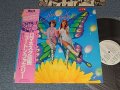 NEWTON FAMILY ニュートン・ファミリー - DANDELION ロメネスク (Ex+++/MINT-) / 1981 JAPAN ORIGINAL "WHITE LABEL PROMO" Used LP with OBI