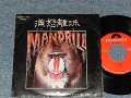 MADRILL マンドリル - A) MADRILL  B)WARNING BLUES (Ex/MINT-) /1971 JAPAN ORIGINAL Used 7"45 Single