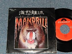 Photo1: MADRILL マンドリル - A) MADRILL  B)WARNING BLUES (Ex/MINT-) /1971 JAPAN ORIGINAL Used 7"45 Single