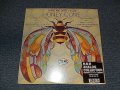 HONEY CORN ハニー：コーン - TAKE ME WITH YOU (SEALED) / 1996 JAPAN "BRAND NEW SEALED" LP 